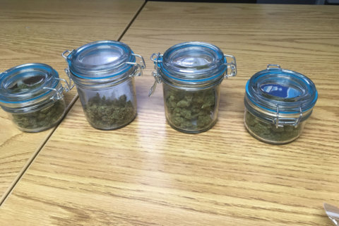 Driver trying to get around Beltway crash arrested after trooper sees pot in car: State Police