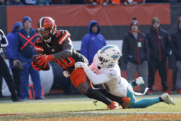 <p><b><i>Dolphins 24</i></b><br />
<b><i>Browns 41</i></b></p>
<p>For the second straight week, Cleveland stained a much-needed victory with <a href="https://twitter.com/H_Grove/status/1198648162807881729?s=20" target="_blank" rel="noopener">Mason Rudolph-related shenanigans</a>. Even Bruce Allen can&#8217;t think this culture is any good.</p>
