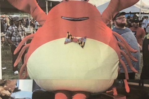 Police: Crab costume stolen from Crabcakes & Cannabis returned