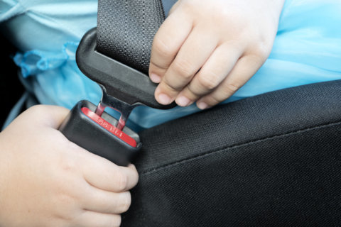 West Virginia ramps up seat belt enforcement starting Monday