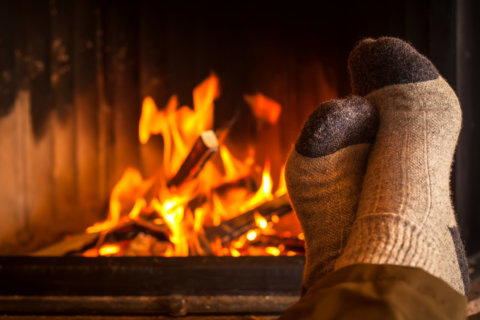 Secret to a warm, soft-glowing fire? Finding the right firewood