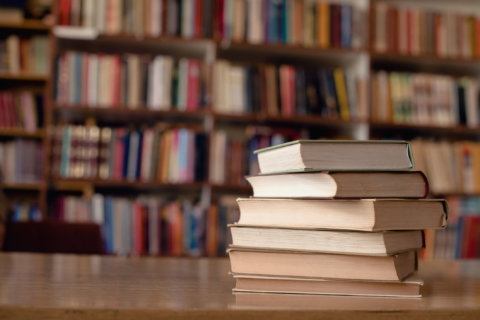 Backlash, support aimed at Loudoun Co. schools’ diverse books program