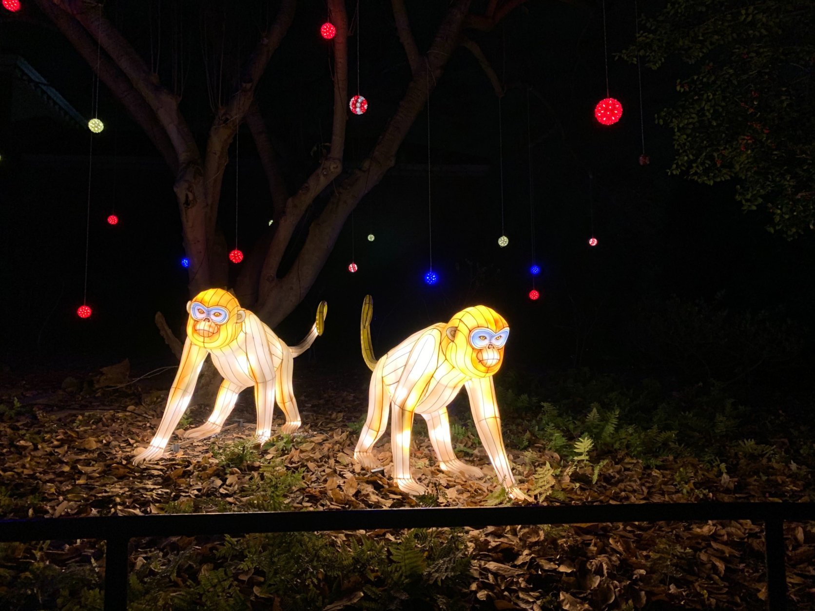 ZooLights returns to the National Zoo from Nov. 29 until Jan. 1.  
