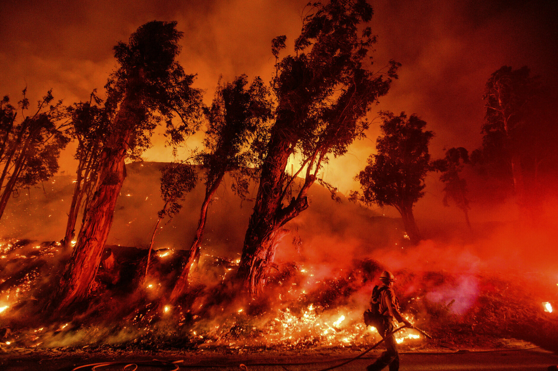 <p><em><strong>Strong winds fan explosive California wildfires as utilities cut power to millions</strong></em></p>
<p>It&#8217;s becoming a familiar scene for Californians: Images of firefighters dwarfed by flames taller than trees, beneath a blood-red sky pierced by planes coating entire neighborhoods with flame retardants. <a href="https://wtop.com/consumer-news/2019/11/rebirth-angst-and-the-new-normal-of-california-wildfires/" target="_blank" rel="noopener">Evacuations are becoming routine</a>.</p>
<p>Despite California power companies implementing blackouts to prevent power lines from sparking blazes, 2019 still proved to be one of the state&#8217;s most severe fire seasons on record. The Kincade Fire <a href="https://wtop.com/national/2019/10/californians-hit-with-2nd-round-of-sweeping-blackouts/" target="_blank" rel="noopener">burned for over a week in late October</a>, threatening more than 90,000 structures and becoming Sonoma County&#8217;s largest wildfire on record.</p>
<p>This year saw seasonal fire threats continue to worsen as climates grow hotter and drier across the globe. <a href="https://wtop.com/australia/2019/12/raging-wildfires-trap-4000-at-australian-towns-waterfront/" target="_blank" rel="noopener">Just ask Australia</a>, where one of the year&#8217;s gravest climate catastrophes will continue to unfold into the new year.</p>
