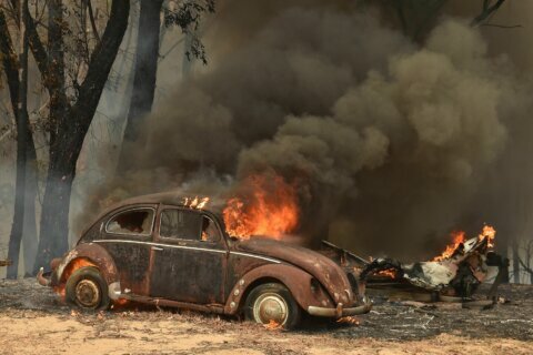 Man survives bushfire hiding in pottery kiln as Australian town is almost wiped out