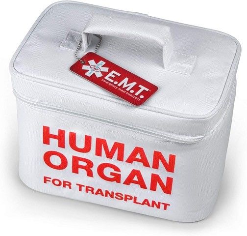 Human Organ Insulated Lunch Bag