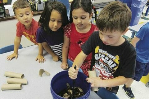 Coles Elementary students launch schoolwide composting program