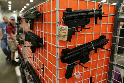 Virginia House approves series of gun-safety bills
