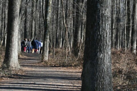 A day at the park may get pricier in Fairfax County