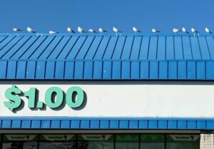 seagulls outside Dollar Tree store in Laurel, Maryland
