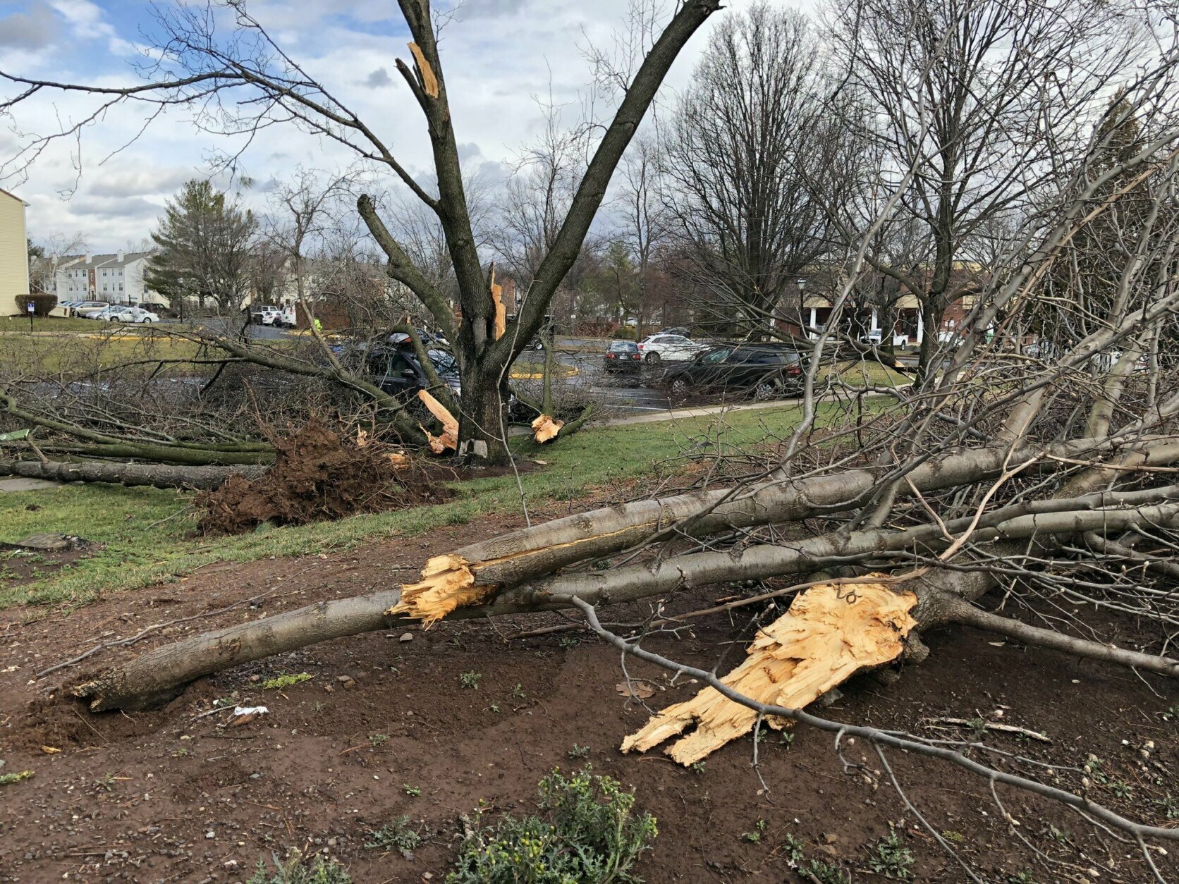 <p>Damage from the Friday storm in Leesburg, Virginia.</p>
