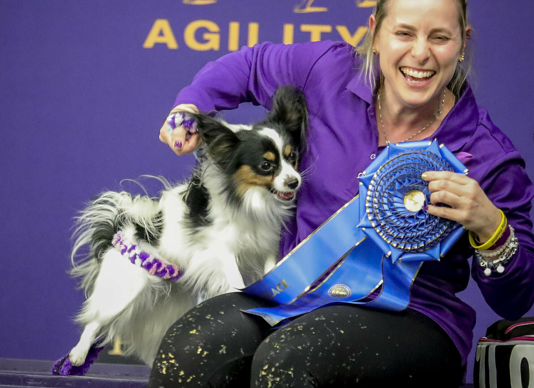 PHOTOS 2020 Westminster Kennel Club dog show WTOP