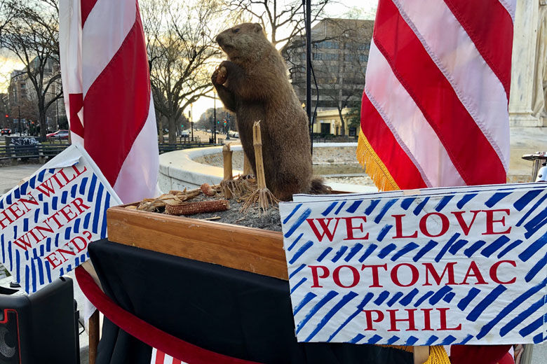 A group wearing top hats behind Potomac Phil helped the groundhog with his predictions. 