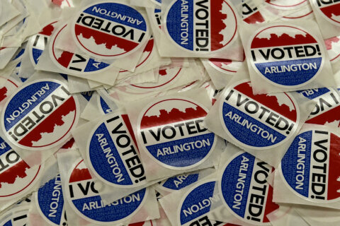 Arlington early voting satellite offices approved
