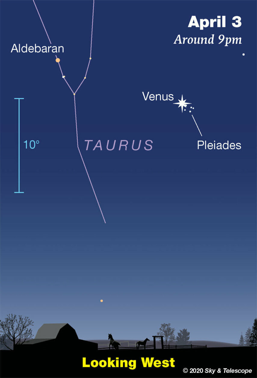 <p>On the evening of Friday April 3rd, the Pleiades seem to leak out of Venus! As seen from most of North America, they spill to the lower right.</p>
