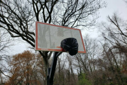 Basketball nets in Alexandria's Angel Park are covered.
