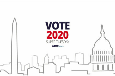 vote 2020 graphic with outline of capitol