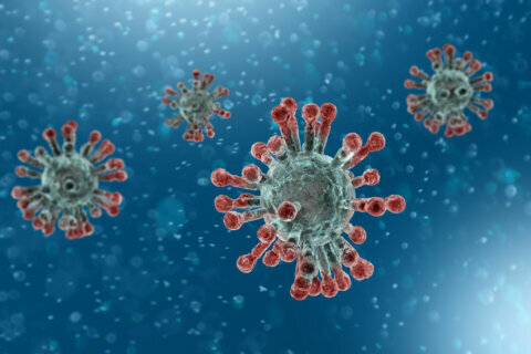 Compare and contrast: Coronavirus vs. seasonal flu