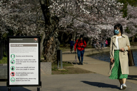 Traffic control measures around Tidal Basin continue to prevent cherry blossom visitation