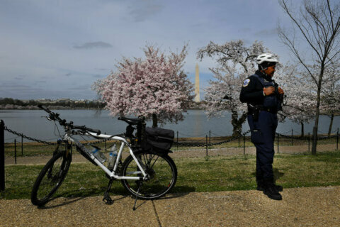 At least another week of traffic restrictions around Mall, Tidal Basin