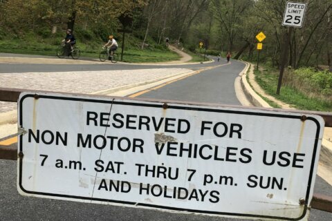 Could Beach Drive in Rock Creek Park stay closed to cars after the pandemic?
