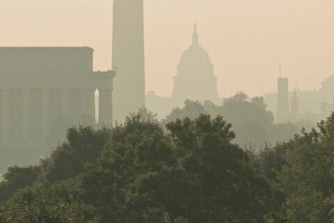 Air quality continues to be a major issue for the DC area