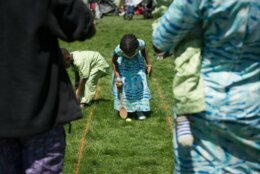 A young girl hunts for Easter Eggs at a previous Egg Roll hosted on the White House South Lawn.