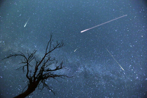 Eta Aquariid meteor shower: When and how to watch