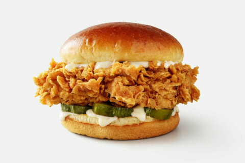 KFC is testing a new chicken sandwich