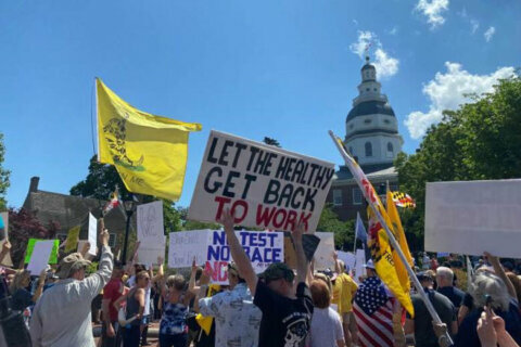 Protesters at Annapolis rally call for an end to ‘tyranny’