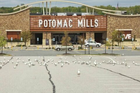 Man charged with filming customers in dressing room at Potomac Mills mall