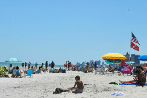Culprit of coronavirus cases in Loudoun Co.: Beach week in Myrtle Beach