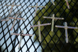 Crosses are strung in a fence near the White House as demonstrators protest Sunday, June 7, 2020, in Washington, over the death of George Floyd, a black man who was in police custody in Minneapolis. Floyd died after being restrained by Minneapolis police officers on Memorial Day. (AP Photo/Maya Alleruzzo)