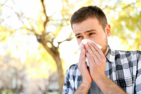 Summertime allergy myths