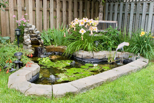 <p><span style="font-weight: 400;">Create a water feature for dramatic touch. Enjoy the calming sound of nature with a built-in waterfall or stream for ultimate tranquility.</span></p>
<p><span style="font-weight: 400;">Photo Credit: </span><a href="https://www.gettyimages.com/"><span style="font-weight: 400;">GettyImages</span></a><span style="font-weight: 400;">, </span><a href="https://www.gettyimages.com/detail/photo/back-yard-fish-pond-royalty-free-image/115027197"><span style="font-weight: 400;">Imaeegaml </span></a></p>
