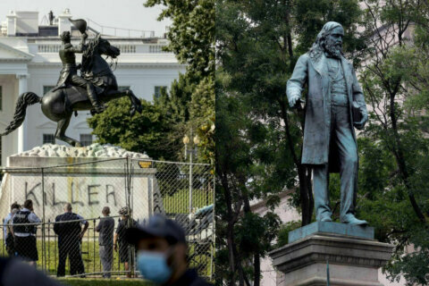 Why did DC police intervene at one federal statue’s destruction but not another?