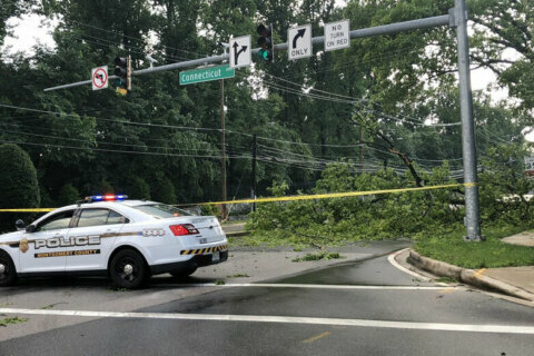 Summer squall rips through DC area, downs trees