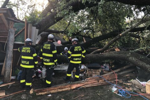 21 people at child’s birthday party injured after tree falls on Md. garage during storm