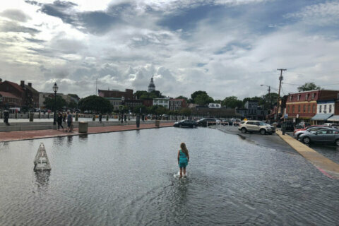 Expect dramatically more flooding in Md.’s future