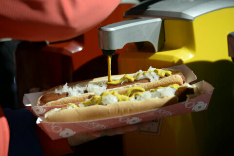 How to get a hot dog, and maybe even a foul ball, from Nats Park