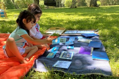 Children learning outdoors