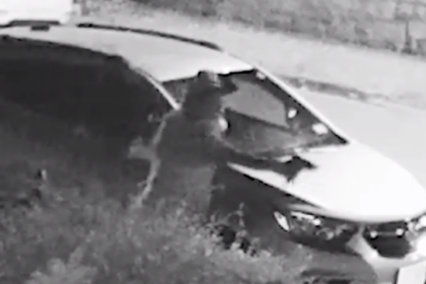 Police release video of suspect, car in Northeast DC killing