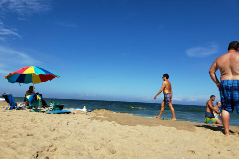 Women want Supreme Court to overturn Ocean City topless sunbathing ban