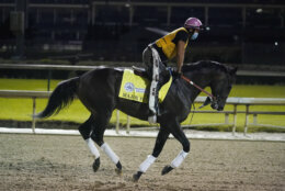 Kentucky Derby entry Major Fed runs during a workout at Churchill Downs, Friday, Sept. 4, 2020, in Louisville, Ky. The Kentucky Derby is scheduled for Saturday, Sept. 5th. (AP Photo/Darron Cummings)