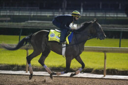 Kentucky Derby entry Sole Volante runs during a workout at Churchill Downs, Friday, Sept. 4, 2020, in Louisville, Ky. The Kentucky Derby is scheduled for Saturday, Sept. 5th. (AP Photo/Darron Cummings)