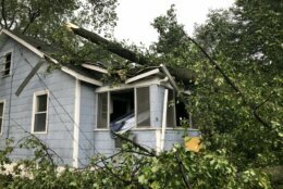 <p>High winds sent a poplar tree into a house near Annapolis Thursday.</p>
