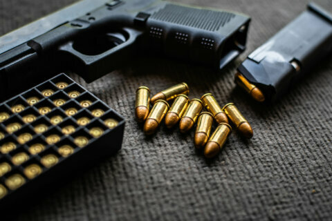 Loudoun County moving toward gun ban in county spaces