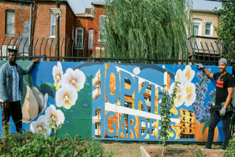 ‘Beacon of hope’: New mural brightens community garden in Southeast DC