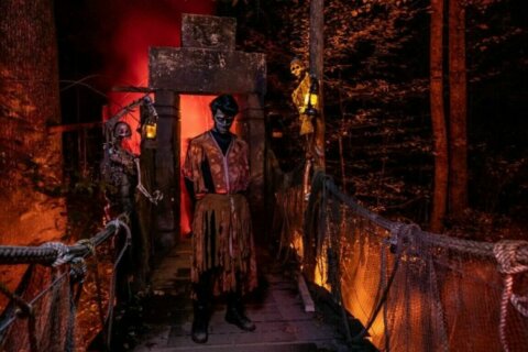 Celebrate spooky season with DC-area haunted houses