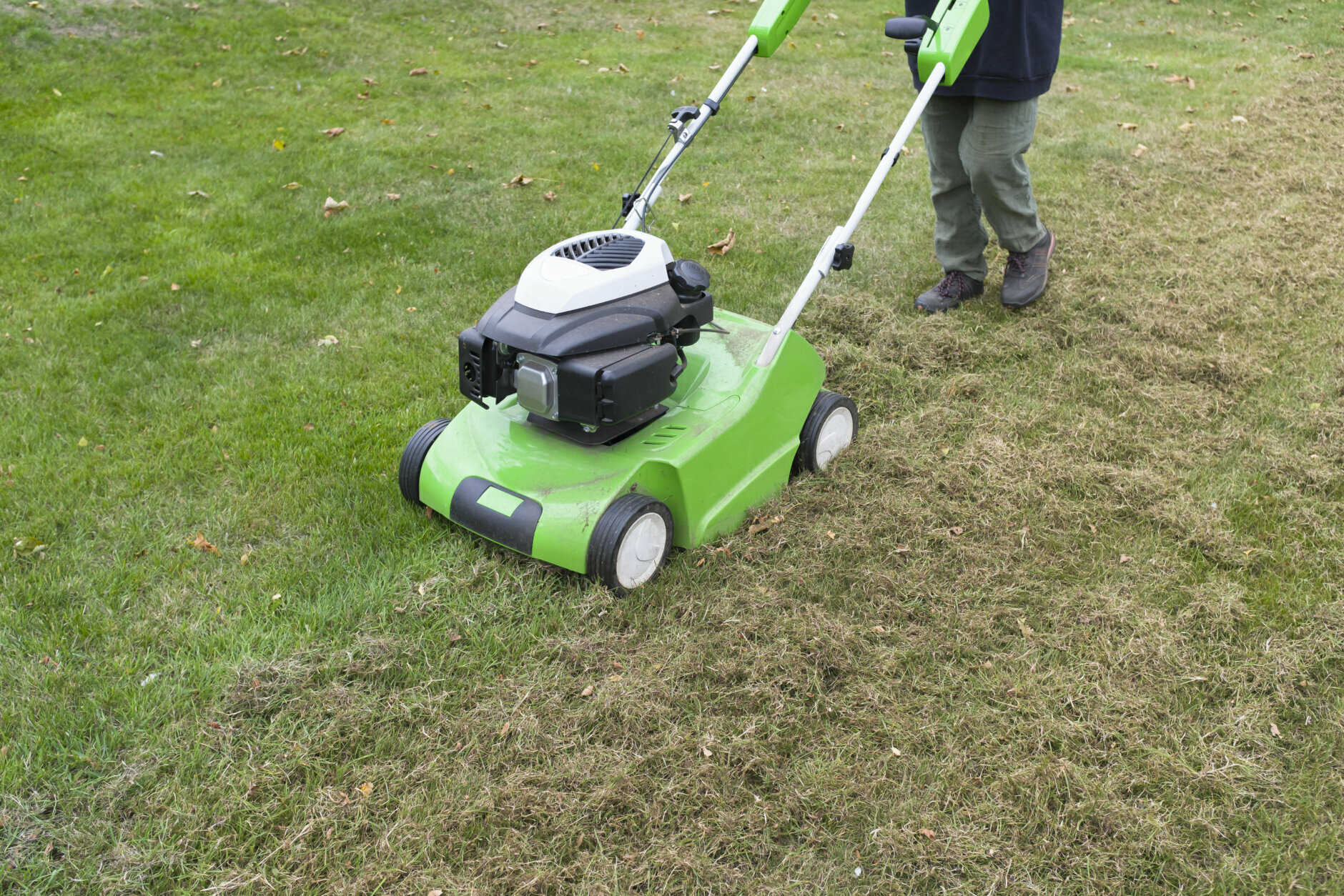 Scarifying lawn with a scarifier. Person dethatching moss in a backyard, lawn maintenance, UK